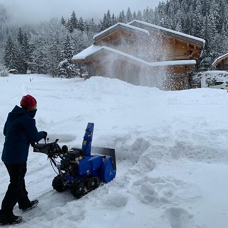 Villa La Jolie Bergere à Morzine Extérieur photo