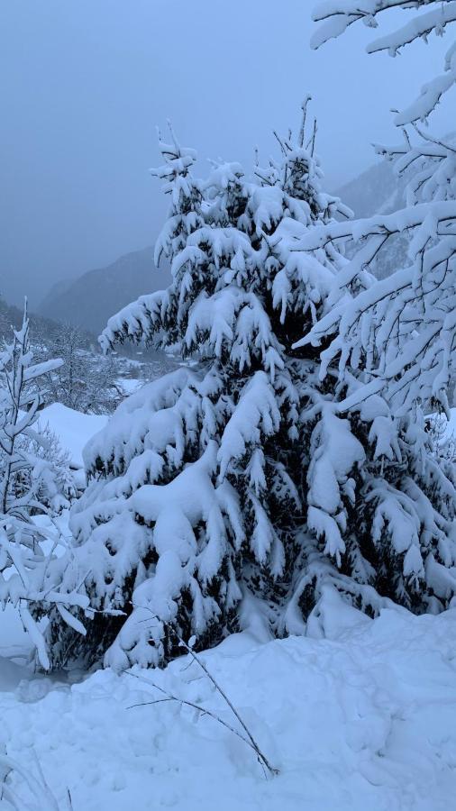 Villa La Jolie Bergere à Morzine Extérieur photo